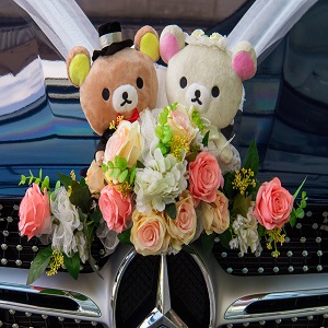 wedding limousines wollongong